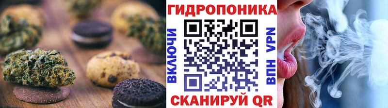 ОМГ ОМГ сайт  Братск  Canna-Cookies конопля 