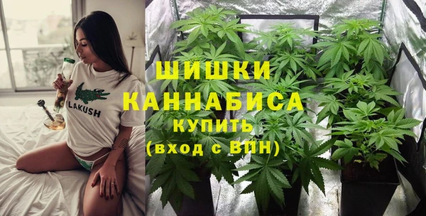 метадон Богданович