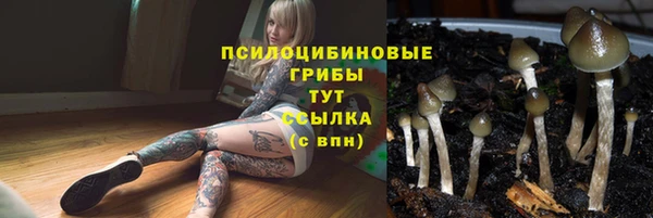гидропоника Богородск