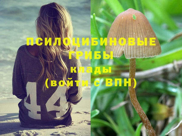 экстази Богородицк