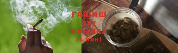 метадон Богданович