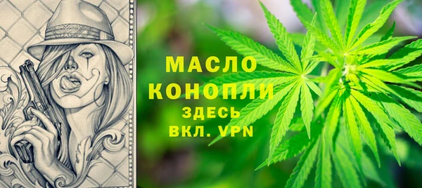 метадон Богданович