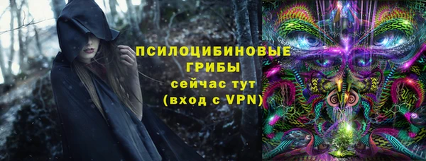 экстази Богородицк
