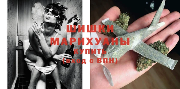 метадон Богданович
