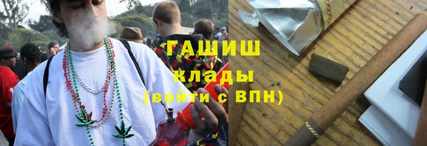 метадон Богданович