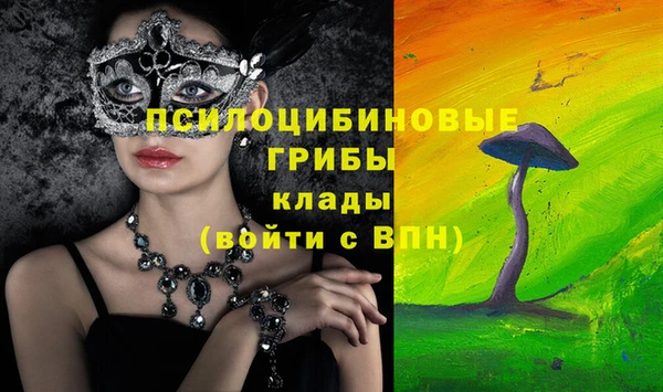 метадон Богданович