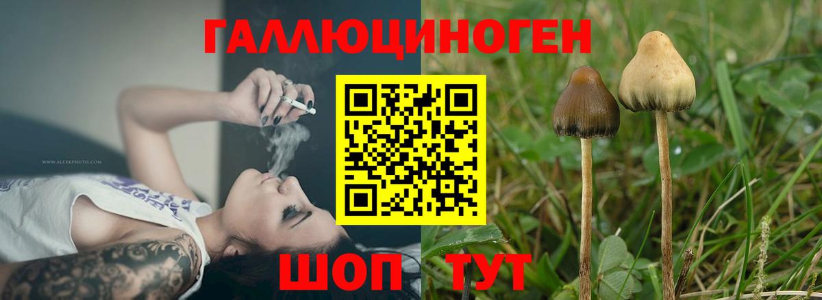 Псилоцибиновые грибы мицелий Братск